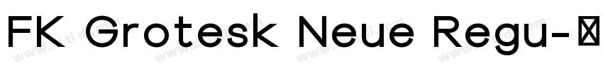 FK Grotesk Neue Regu字体转换